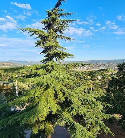 Apartment Sunny View Ankaran Dış mekan fotoğraf