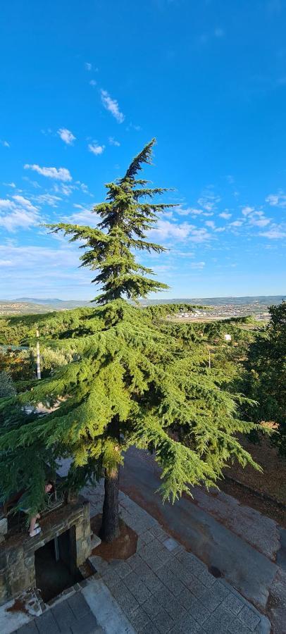 Apartment Sunny View Ankaran Dış mekan fotoğraf
